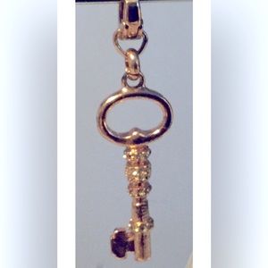 Fossil Key Charm